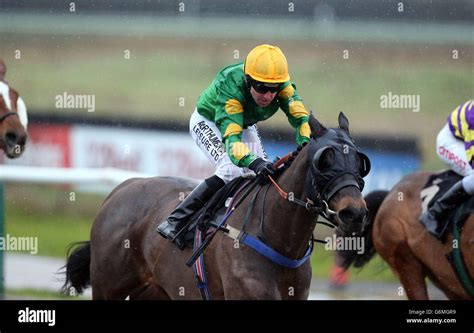 horse racing results lingfield|15:20 Lingfield .